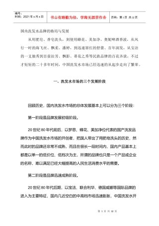 国内洗发水品牌的格局与发展