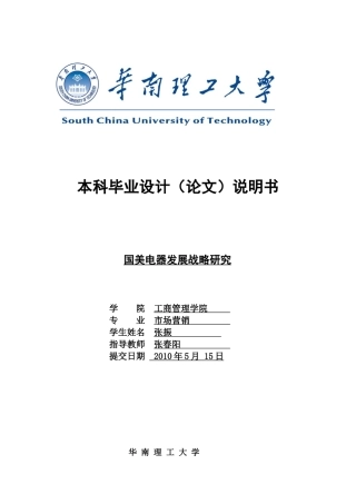 国美电器发展战略研究