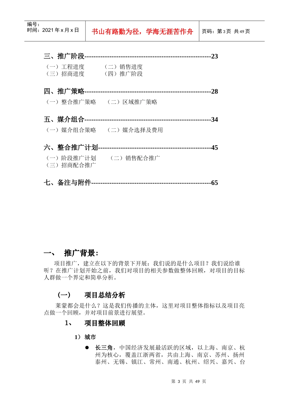 国际商业中国街区商业项目整合推广报告_第3页