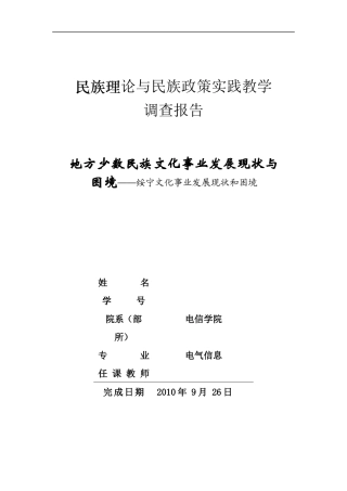 地方少数民族文化事业发展现状和困境