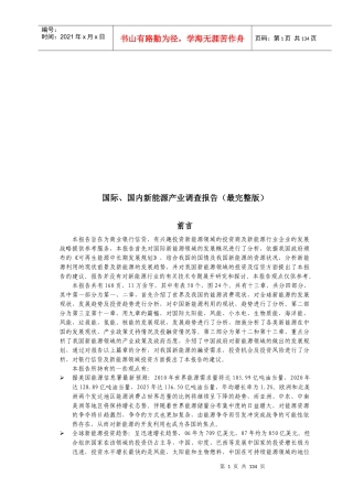 国际与国内新能源利用行业调查报告