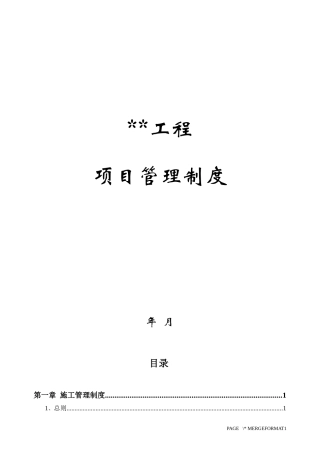 大型建设工程项目管理制度