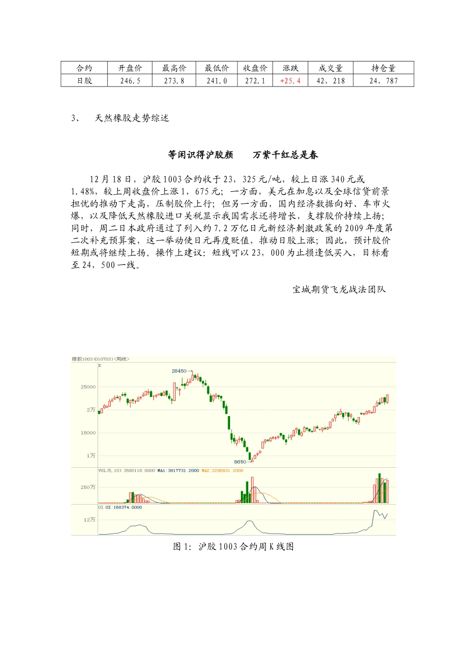 天然橡胶投资计划书_第3页