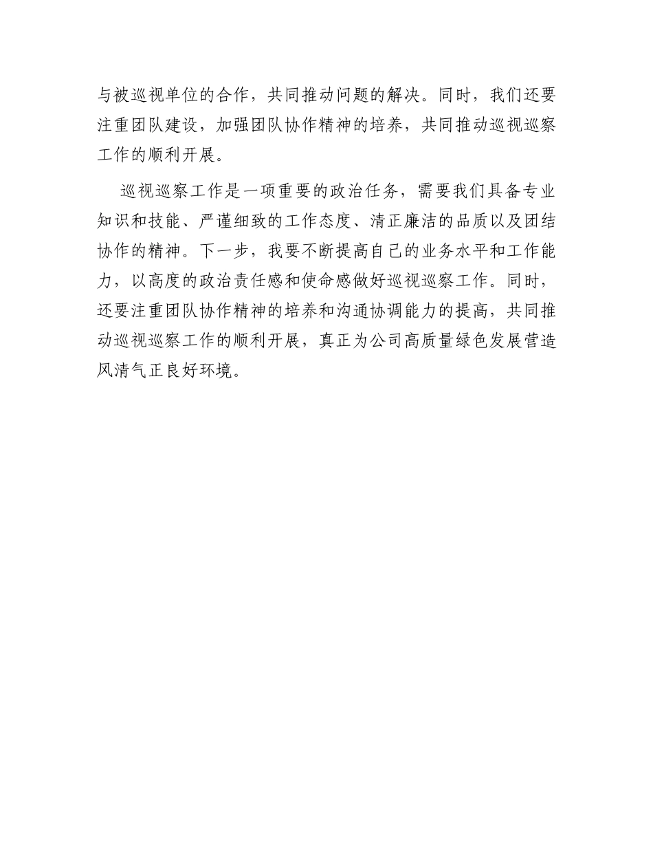 巡视巡察工作感悟体会征文_第3页