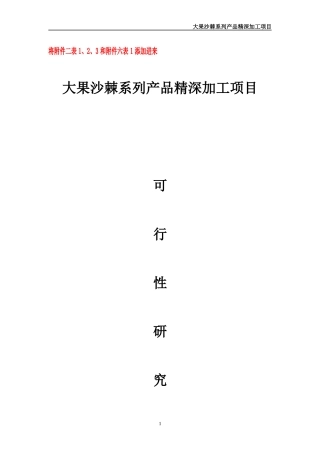大果沙棘系列产品精深加工项目研究报告