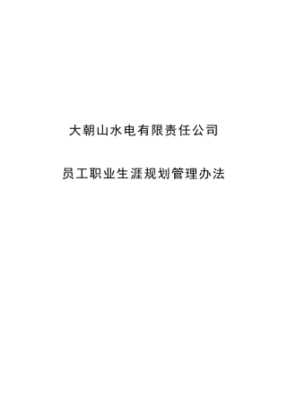 大朝山水电职业生涯规划管理办法2