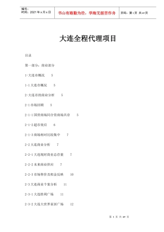 大连全程代理项目