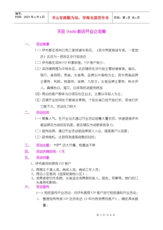 天旺广场ibudu开业企划案