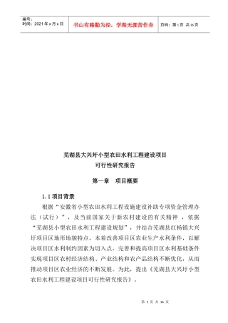 大兴圩小农水项目可行性报告