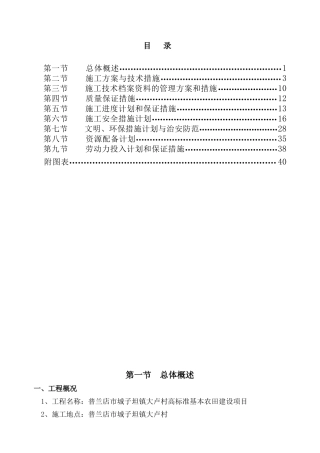大卢村高标准农田建设项目施组二