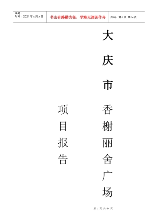 大庆香榭丽舍广场项目报告