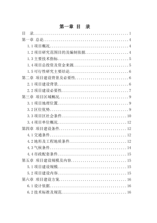 城市政道路工程项目可行性研究报告-副本李昭XXXX71
