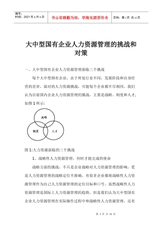 大中型国有企业人力资源管理的挑战和对策