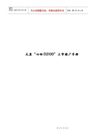 大显心动d2100上市推广手册
