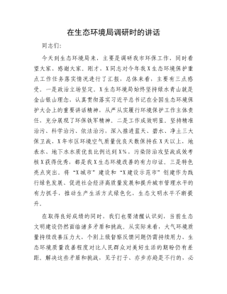 在生态环境局调研时的讲话