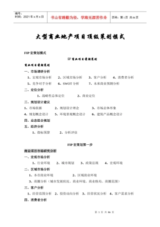 大型商业地产项目顶级策划模式概述(DOC 85页)