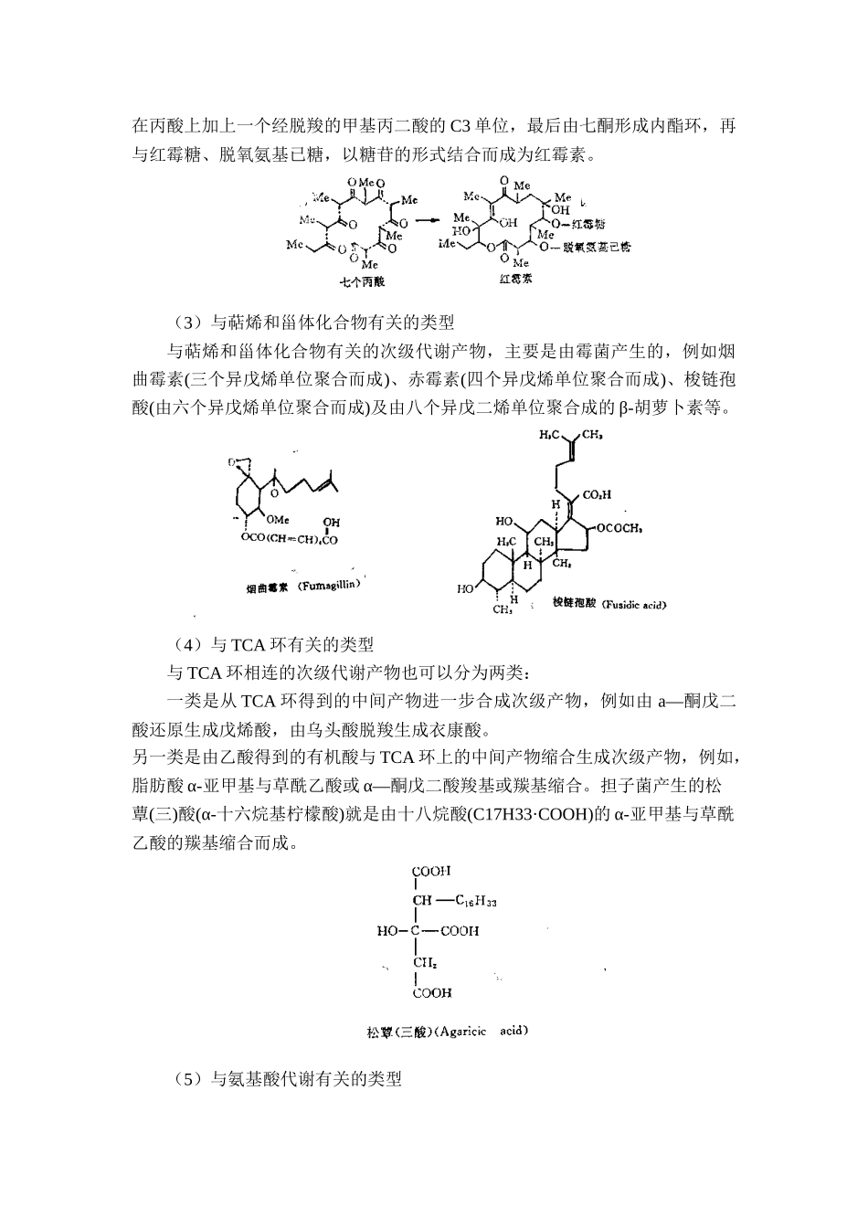 发酵生物化学基础_第3页