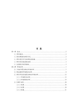 大明宫商业城项目可行性研究报告