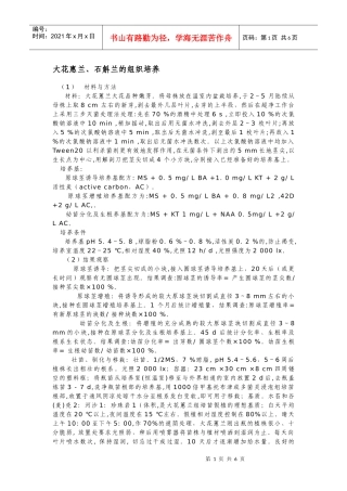 大花惠兰、石斛兰的组织培养