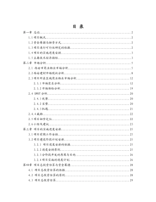 大明宫商业项目可行性研究报告
