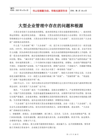 大型企业管理中存在的问题和根源