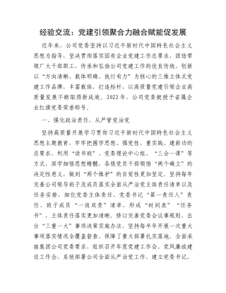 经验交流：党建引领聚合力融合赋能促发展