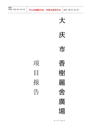 大庆香榭丽舍广场项目报告(1)