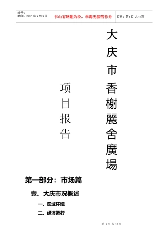 大庆市某商住广场项目定位策划报告