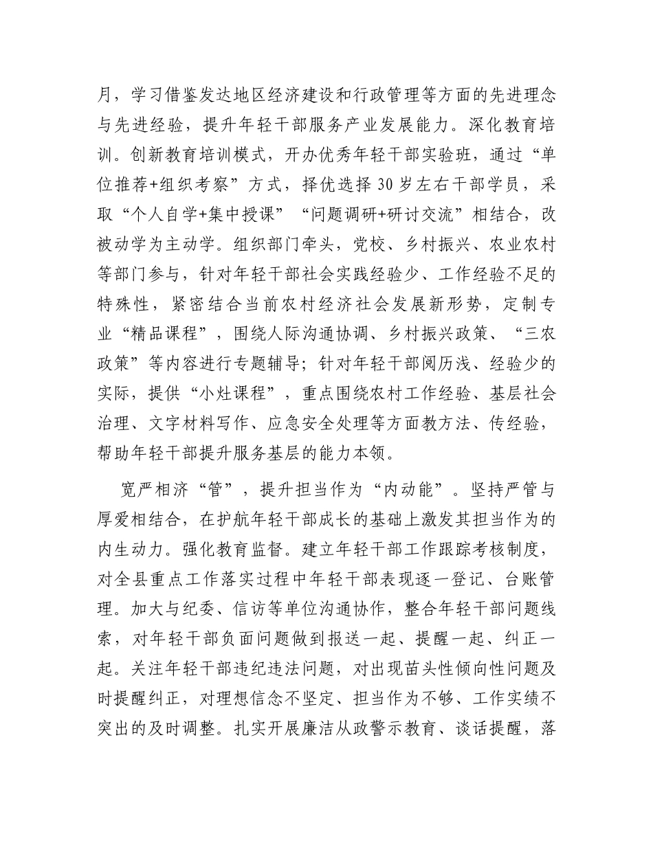 在全市年轻干部选育管用工作推进会上的汇报发言_第3页
