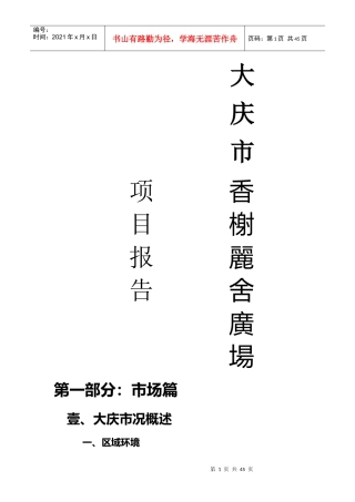 大庆市香榭丽舍广场项目研究报告