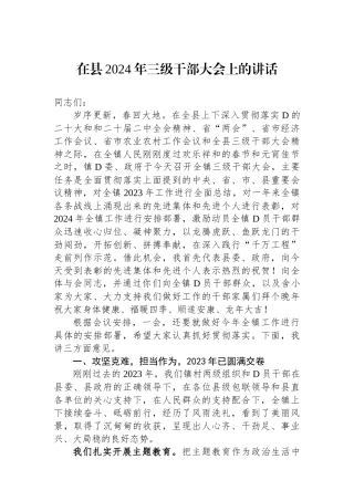 在县2024年三级干部大会上的讲话