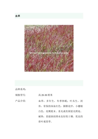 园林观赏草—图文并茂(1)