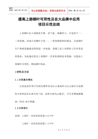 大品牌中应用项目示范总结