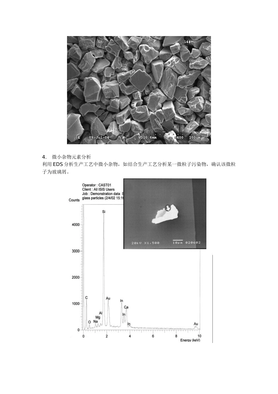 扫描电子显微镜及能谱仪(SEM_第3页