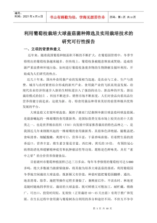 大球盖菇菌栽培技术的研究可行性报告