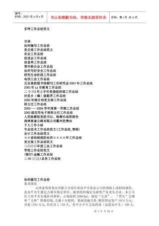 多种工作总结范文