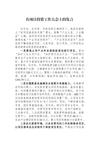 在项目投资工作大会上的发言