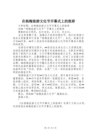 在杨梅旅游文化节开幕式上的演讲致辞