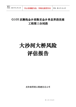 大沙河大桥安全风险评估报告