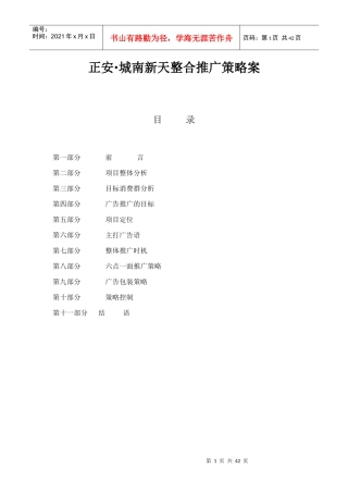 城南新天整合推广策略案(42doc)