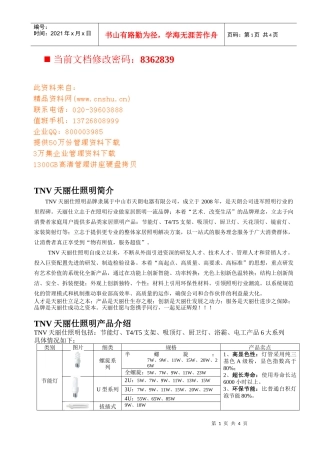 天丽仕照明公司招商策划
