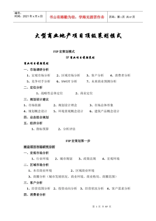 大型商业地产项目顶级策划模式93901860