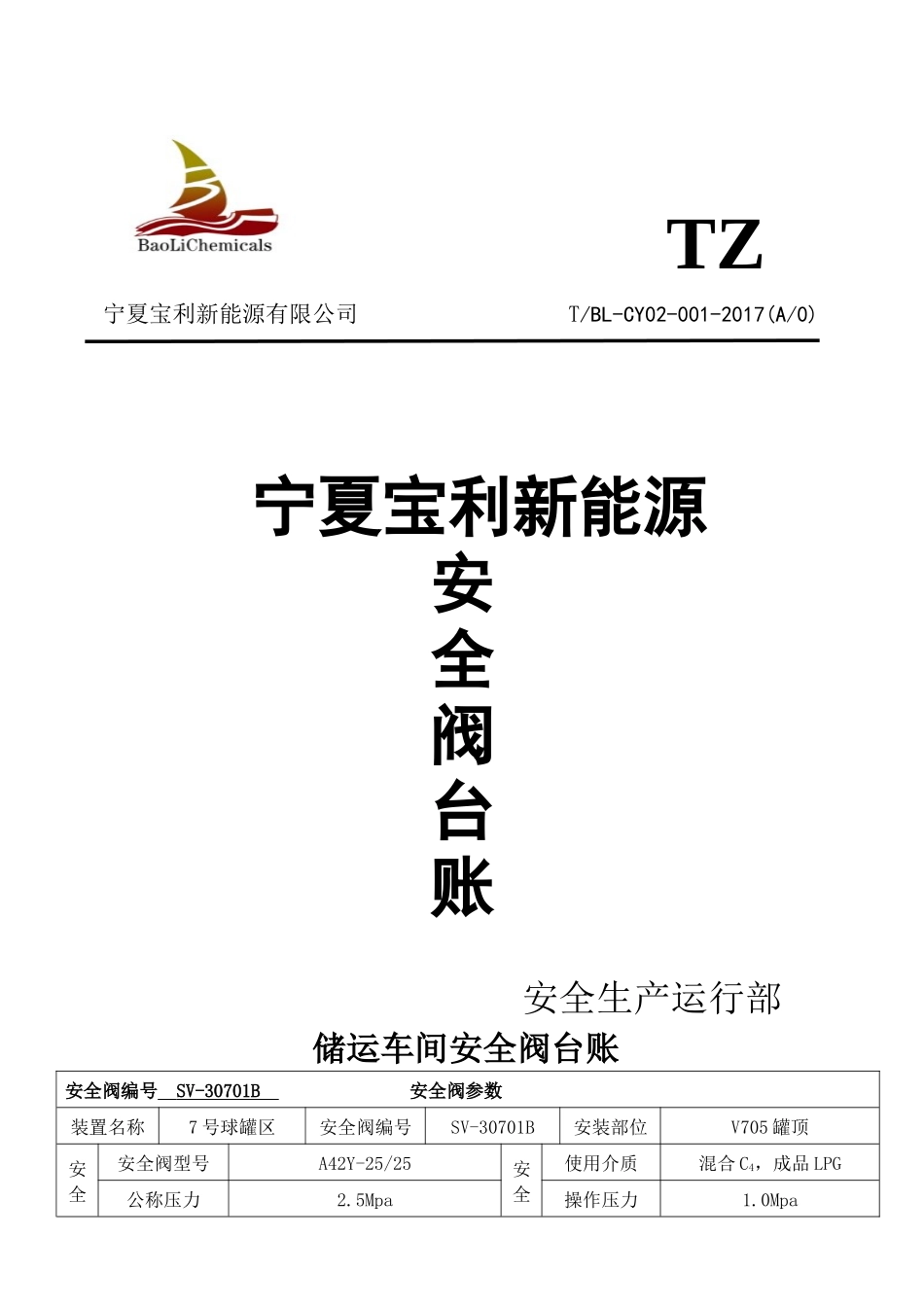 新能源安全阀台账培训资料_第1页