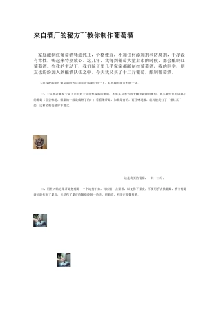 教你制作葡萄酒
