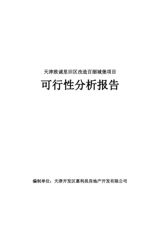 天津某城堡项目可行性分析报告
