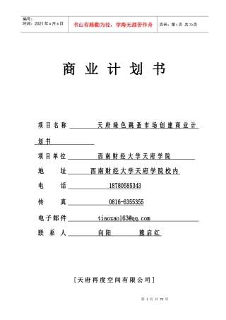 天府绿色跳蚤市场创建商业计划书