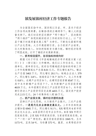 镇发展镇村经济工作专题报告