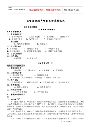 大型商业地产项目顶成功策划模式(完整版)