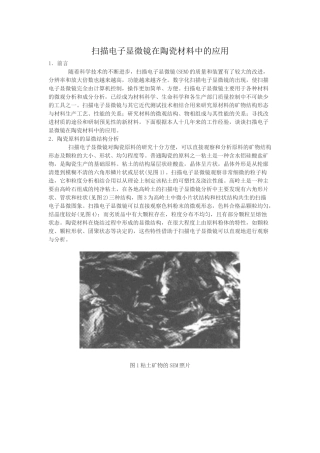 扫描电子显微镜在陶瓷材料中的应用