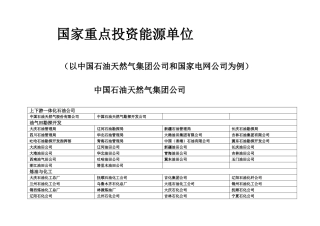 国家重点投资能源单位